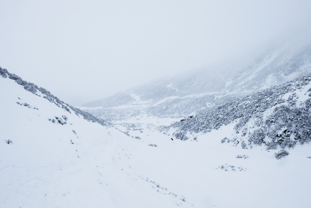 下了一晚上的雪，第二天下山的路已经看不到草地了